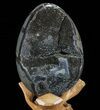 Septarian Dragon Egg Geode - Black Crystals #72097-2